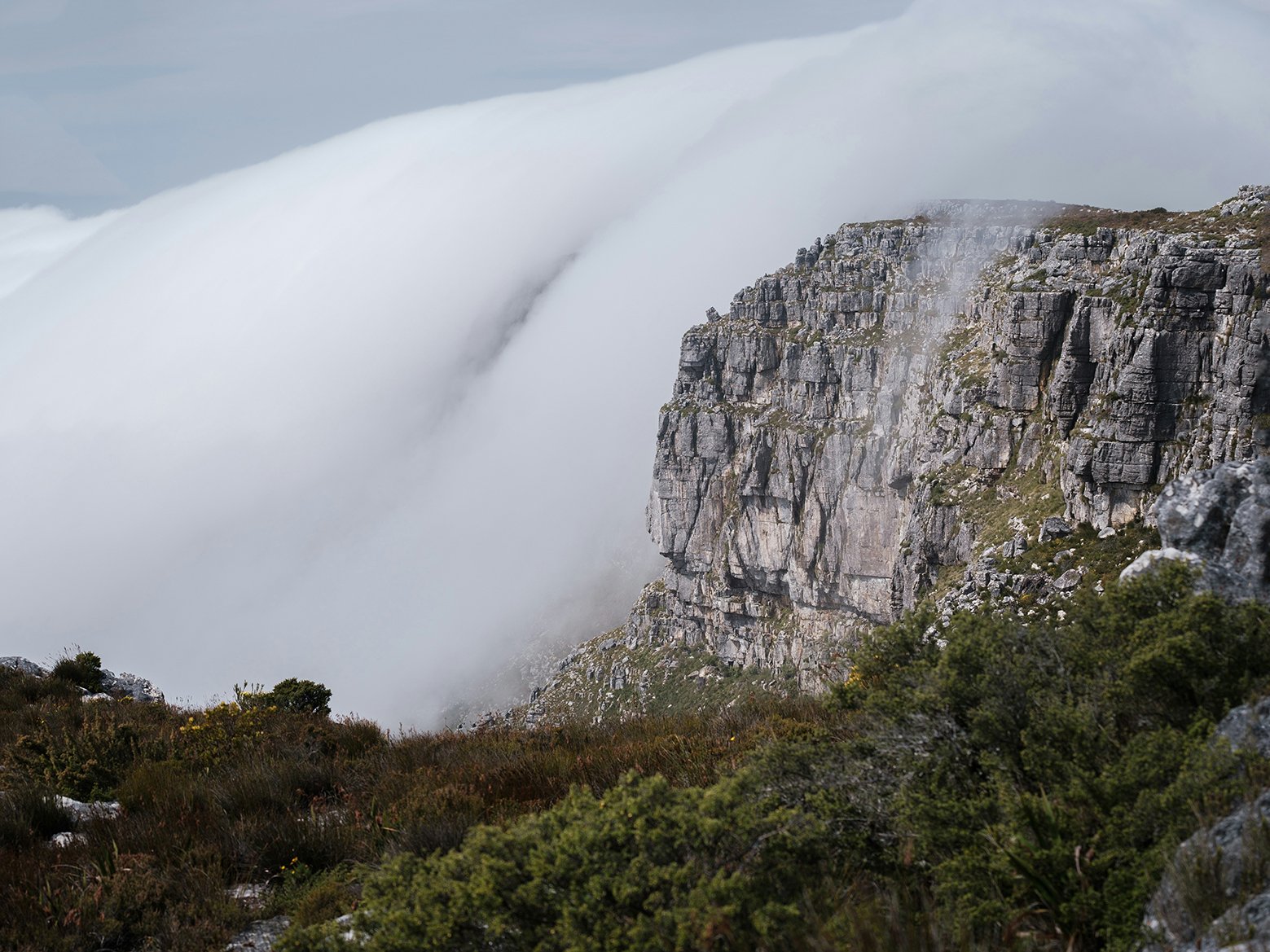 Photo by <a href="https://unsplash.com/@joshuakettle?utm_content=creditCopyText&utm_medium=referral&utm_source=unsplash">Joshua Kettle</a> on <a href="https://unsplash.com/photos/a-mountain-with-trees-below-vXMGPA4Epv0?utm_content=creditCopyText&utm_medium=referral&utm_source=unsplash">Unsplash</a>
      